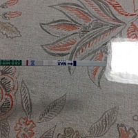 猪宝宝第一个月失败了