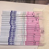 谁能告诉我，到底哪一天排卵，正常是13号，13号测出强阳，然后变谈淡，17号突然又测出强阳，哪位朋...