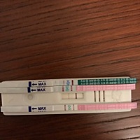 今早再次确认，都是双杠，买了可丽蓝电子验孕棒，如果可丽蓝也显示怀孕，那我们就上医院！