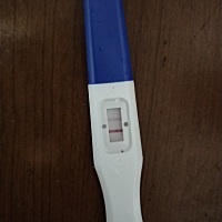 这是有还是没有啊？