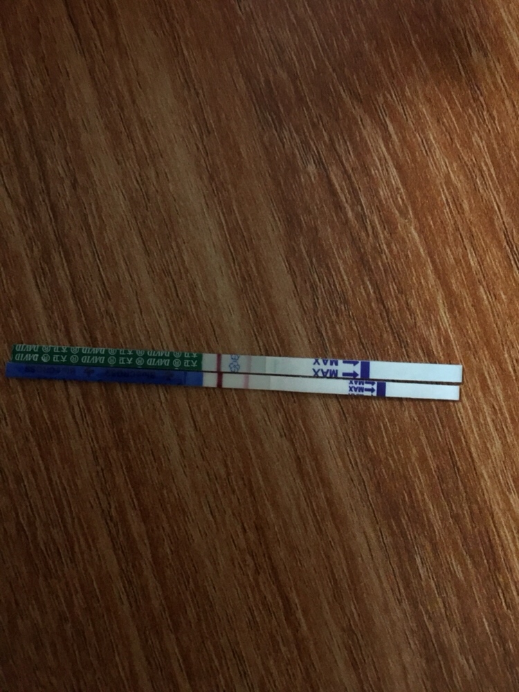 同一时间今天早上，大卫还是浅