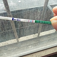 备孕两个月这是有了吗？