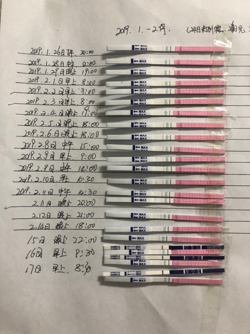 备孕两个月，上个月测孕试纸有特别浅的一道，但是大姨妈依然来了，这个月详细记录了，但是我也分不清到底是6号排卵？还是11号，末次月经24日！现在测大白板！焦虑，这几天胸胀疼！希望能好孕！