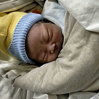 我的狗宝宝半个月了，一天一个样，是越来越可爱咯😊😊