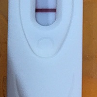 末次月经1月23号，刚测的，这是好孕了吗？