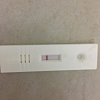 1月28来的大姨妈，今天测试是这样的，是还没怀上吗，还有机会吗