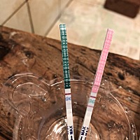 请问这是怀孕了吗，左边是测怀孕的，右边是测排卵的 g