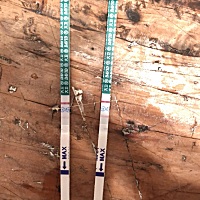 这是有了吗，今天应该来大姨妈，出于好奇测了下