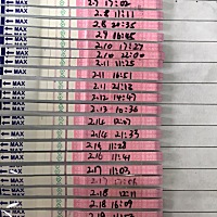 这是哪天排卵啊？？还是根本就没有排？？