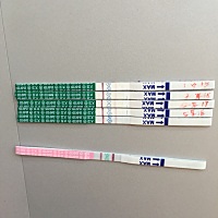 应该是加深了吧，大卫加深特别慢 最后一根是今天早上的 这个也是今天早上的 这个是今天中午的