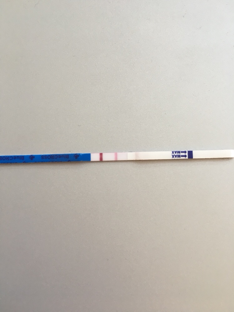 这个也是今天早上的