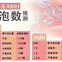 试管婴儿除了移植最担心的就是取卵子 　试管婴儿周期中，除了移植的过程，最令人担心的莫过于取卵。有部...