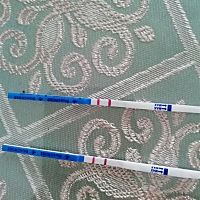 这是怀孕了啊，家里有男宝一枚，五岁了，哎，末次月经是1月16.我在想如果男孩我是不想要了