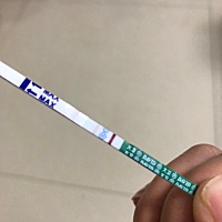 请问这是怀孕了吗