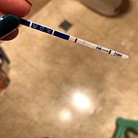 那个大神告诉一下、这是有了还是没有？？