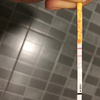 帮忙看一下是不是快排卵了？昨天印子很淡，今天印子有加重。