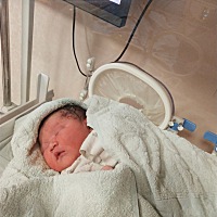 心心念念的佩奇