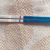 备孕一个月这是有了吗？