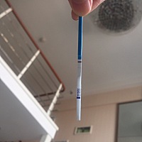 求助各位大神 这是怀孕了吗 求助各位大神 这是怀孕了吗？ 还有个问题 用早孕试纸测孕 如果没怀孕的话 几...