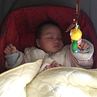 睡着了还舍不得他的玩具