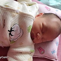 你们的宝宝有打呼噜的吗，我滴个神呐，宝宝才第八天就会打呼了，也不知道正不正常，现在老公和宝宝都睡...