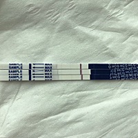 末次月经1月24号！最下面的是今天早上测的！会不会怀上呢？感觉有一天很浅的，又感觉没有！有同样的吗？