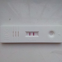 确实我是怀孕了吧