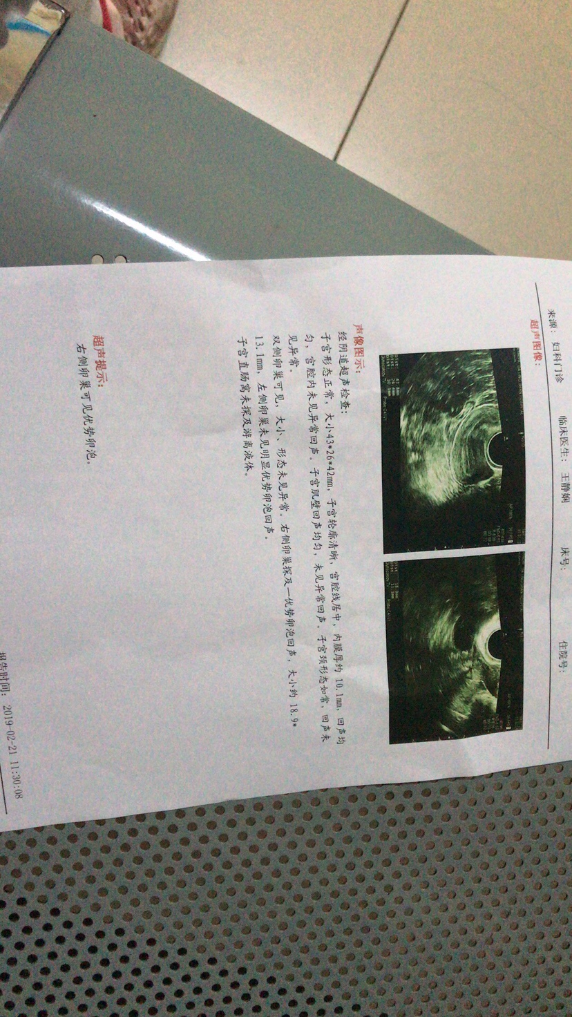 有优势卵泡，加油💪