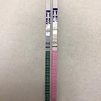 上个月26号来的大姨妈 月经比较准时 昨天用大卫测2条杠。今天测还是俩条杠 有点小开心晚上用大卫早早孕...