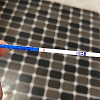 末次月经1月29.  还有三天姨妈就来了 ，今天测依然是大白板，胸轻轻一碰就疼，唉 这个月估计是凉了……