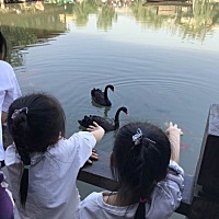 一胎双胞胎女儿，现在备孕二胎，想要儿女双全，压力好大