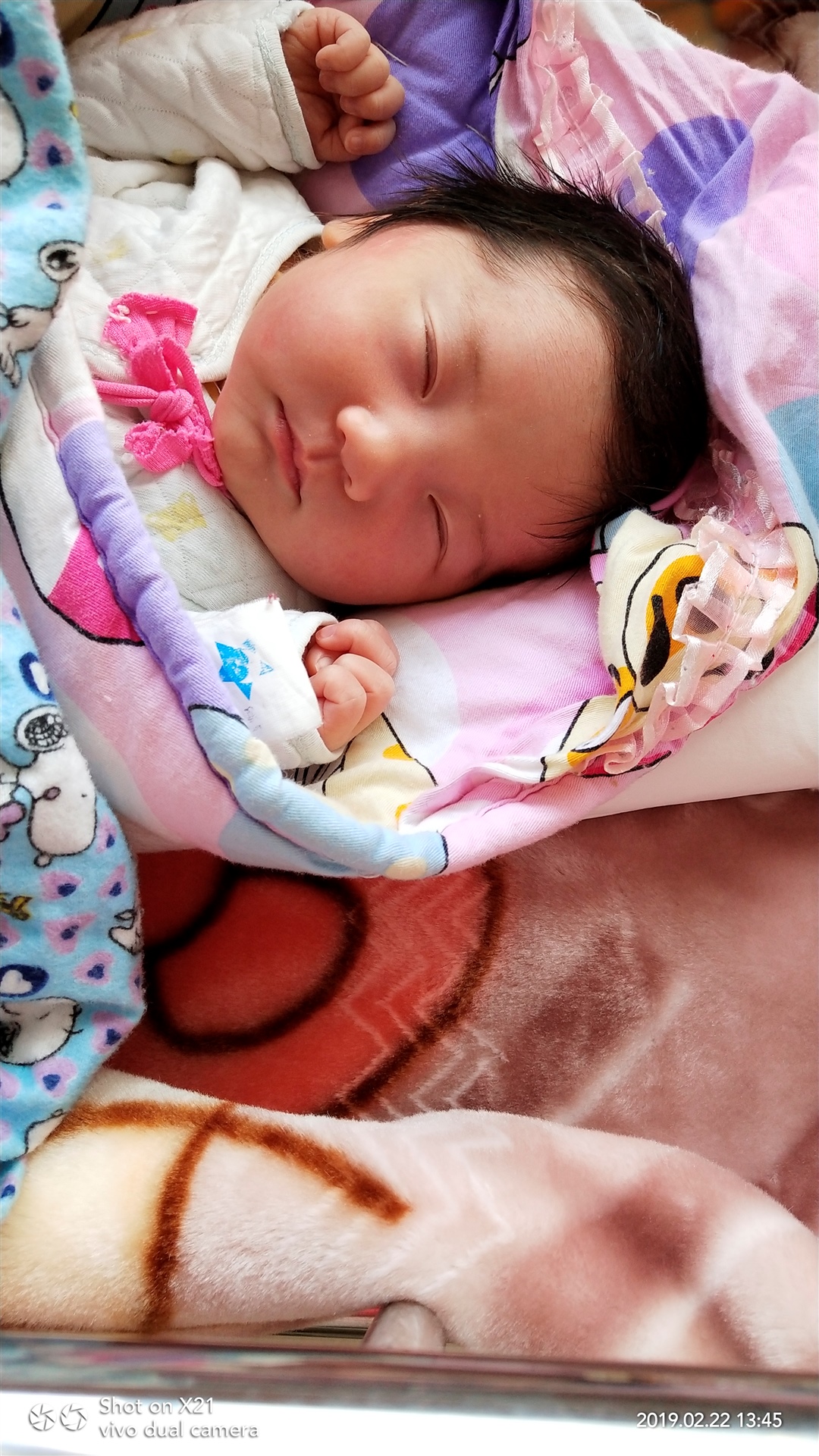 今天第四天😍😍