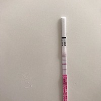 大家看看是不是强阳，好想要一个可爱的猪宝宝，欢迎回帖