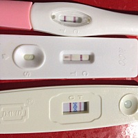 实在是不敢相信 连着验了三次 才接受了 还没有做好迎接他的准备 好烦躁 各种不舒服 头晕 腰酸 小腿疼 困...