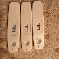 老公是当兵的，平时不太在家，结婚一年多一直没打算要小孩，去年年底被家里人催，11-12月吃了两个月叶酸...