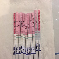 2号来5号走，这是这个月的排卵试纸，懂得亲亲们，帮我分析分析，到底是有没有排卵，没有强阳，一直没安...