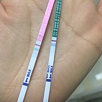 第十天。早早孕大白板。排卵试纸一层不变。排卵后这样。现在还是那么淡。 这个月估计又是凉凉了