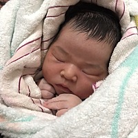 宝宝出生第四天啦 宫缩那感觉简直痛的无法想象 痛不欲生 没经历根本不懂 10月怀胎 一朝分娩  只要顺...