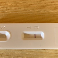 多囊，昨天中午测的、当时是一条杠，晚上发现又多了一条，这到底是怀没怀啊