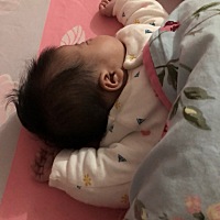 喂母乳真的喂到想哭 喂了一个多月乳头被吸的钻心的痛 刚没好几天这个小家伙就开始用牙肉咬乳头了