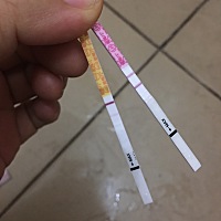 经期推后四天了，排卵试纸检测比较红，早早孕检测试纸比较浅，这个结果是怀了吗？