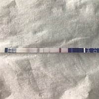 ；3号来月事，等不急了，提前测了，这是有了吧、细细的一颗、、