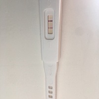 儿子2岁9个月了，又怀了，准备好要二胎了，孩子来了哈哈