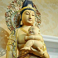 大姨妈来报道了，希望下个月好孕 保佑保佑