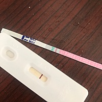 上月29号月经，12号排卵日，昨天测了排卵试纸，浅浅的一道印，也测了早孕试纸，今天早上竟然有一条灰印...