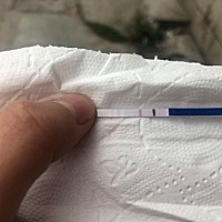 这是怀孕了吗？上月20号来姨妈，到现在没有来。