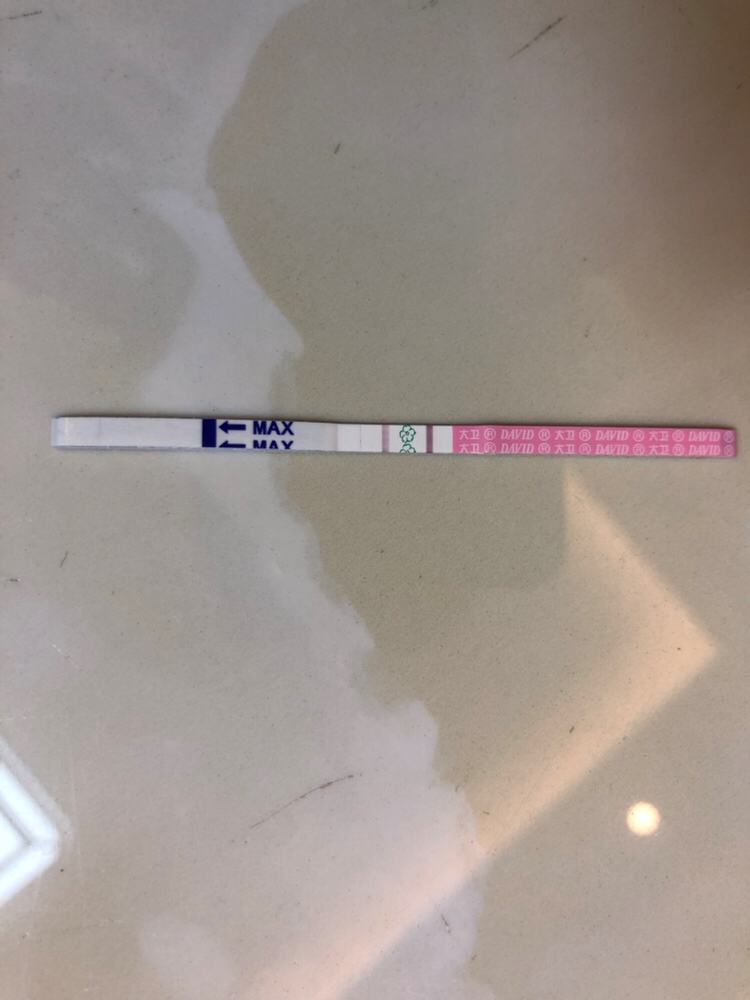月经还有四天，测孕纸白板，排卵试纸这样的，也不知道这个月有没有戏，胸涨