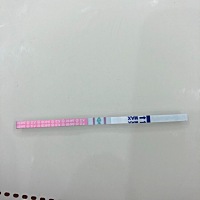 上个月26号来月经，今天测了两个排卵试纸都是强阳，都是早孕试纸白板，不知道有没有戏了