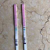 16号排卵 早上用排卵试纸测的  这是什么呢