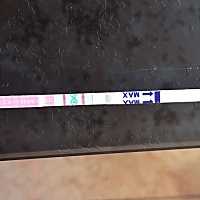 这样连着两天了，这是要排卵吗？还是排完了？请求有经验的姐妹